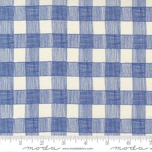 May include: Blue and white gingham fabric with a subtle textured pattern. The fabric is shown with a ruler for scale.