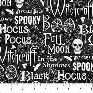 Spellbound 28141-99 black multi words by Deborah Edwards for Northcott