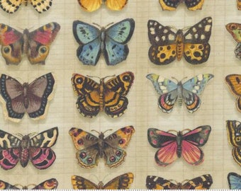 Junk Journal 7412-12 parchment butterflies by Cathe Holden for Moda