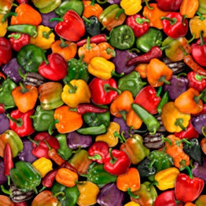 End of bolt 31” Fresh 1649-28473-X mixed pepper  by Dan Morris for QT Fabrics
