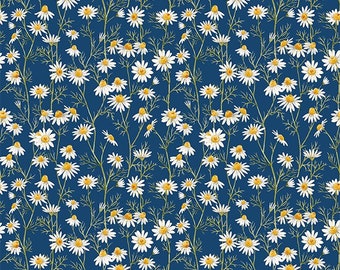 Hedgehog Hollow 9HH 1 daisies blue for In The Beginning