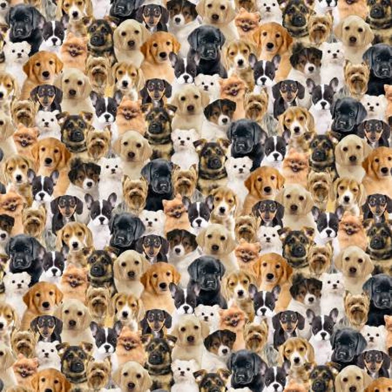 Puede incluir: Un patr&oacute;n sin costuras de varias razas de perros, incluyendo golden retrievers, labradores negros y terriers. Los perros est&aacute;n todos mirando a la c&aacute;mara con la cabeza inclinada, creando un dise&ntilde;o juguet&oacute;n y caprichoso.