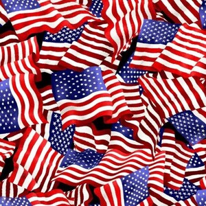 America OA6011301 American Flags by Oasis Fabrics