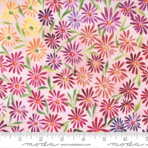 Eufloria 39744-18 blush by Create Joy Project for Moda