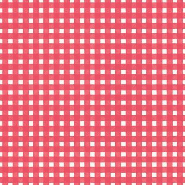 Flower Market C8927R-CORAL Gingham Coral by Jen Allyson for Riley Blake