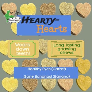Hearty-Hearts Hay Gnawing Hearts / Guinea Pig Gnawing Treats / Rabbit Treats