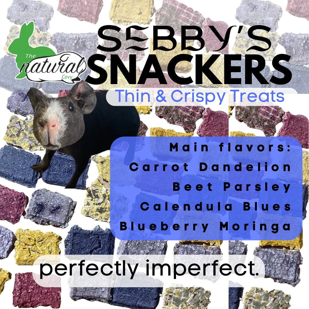 Sebbys Snackers Thin and Crispy Treats for Rabbits & Bunnies, Guinea
