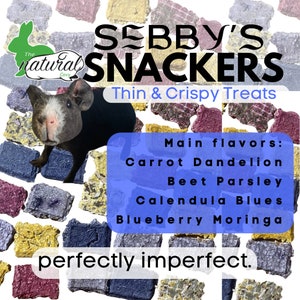 Sebby’s Snackers- Thin and Crispy Treats for Rabbits & Bunnies, Guinea Pig Treats, Gift for Pet Owners, The Natural Cavy