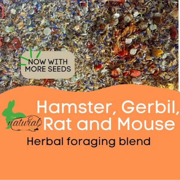 Hamster, Gerbil, Rat, and Mouse Forage Mix