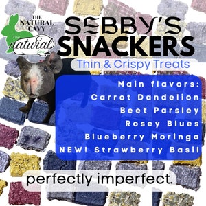 Sebby’s Snackers- Thin and Crispy Treats for Rabbits & Bunnies, Guinea Pig Treats, Gift for Pet Owners, The Natural Cavy