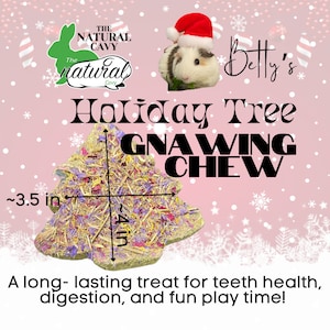 Holiday Tree Gnawing Block / Guinea Pig and Rabbit long lasting treat / wears down teeth