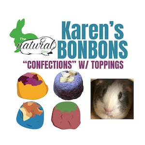 Karen’s Bonbons- Healthy Treats for Guinea Pigs and Rabbits