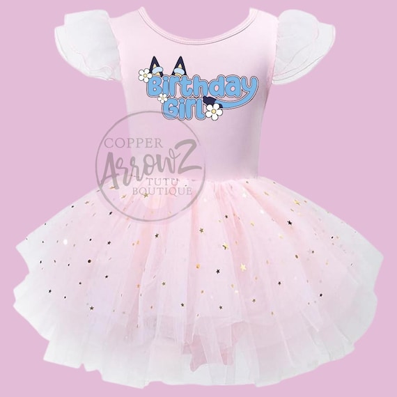 Bluey Birthday Tutu Dress Girl, Cartoon Birthday Girl Outfit, Bluey Inspired Birthday Dress Toddler, Pink Birthday Tutu Dress, Tutu Leotard