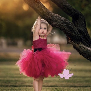 Blossom Powerpuff Girls Tutu Costume – Handmade Pink Tutu Dress for Girls