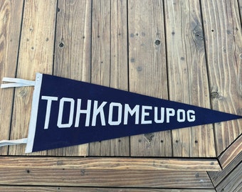 Vintage Navy and Grey Tohkomeupog Pennant - Large