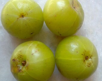 Phyllanthus Emblica (Amla) 25+Seeds