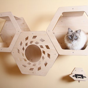 Puede incluir: Un árbol para gatos de pared hecho de madera clara con estantes hexagonales. El árbol para gatos tiene una abertura redonda en uno de los estantes y una pequeña plataforma con un diseño de huella de pata. Un gato blanco con ojos azules está sentado en uno de los estantes.
