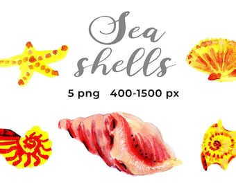 Commercial use Sea shells clipart seashells Watercolor ocean hand drawn yellow starfish collage sheet aquatic scrapbook clip art set