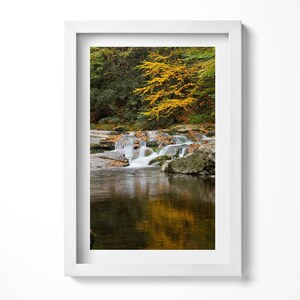 Green Landscape Of A Forest Stream Painting in Frame, Landscape Wall Art in Frame, Brown Wall Art