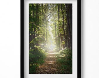 Forest Road Among The Trees Painting in Frame, Nature Wall Art in Frame, Green Wall Art