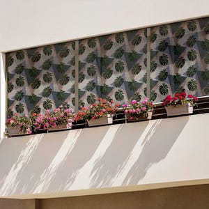 Balcony Roller Blinds, Plants Backyard Shades, Leaves On A Geometric Background Shades, Multicolour Printed Roller Shade