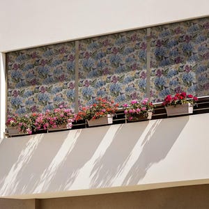 Balcony Roller Blinds, Plants Backyard Shades, Flowers Leaves Birds Toucan Shades, Multicolour Printed Roller Shade