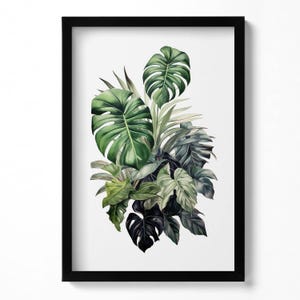 buy philodendron plant Philodendron Gloriosum Heart-shaped Leaves, Easy Care Indoor Plants 6