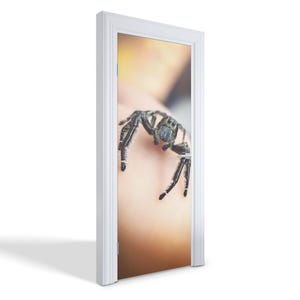 Jumping Spider Door Sticker, Carving Door Mural, Animals Door Decals, Beige Door Mural, Bedroom Door Stickers
