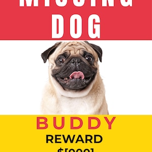 Lost Missing Pet Flyer | Printable Poster | Letter Legal Oficio + Social Media | Instant Download | English & Spanish · 20 Templates