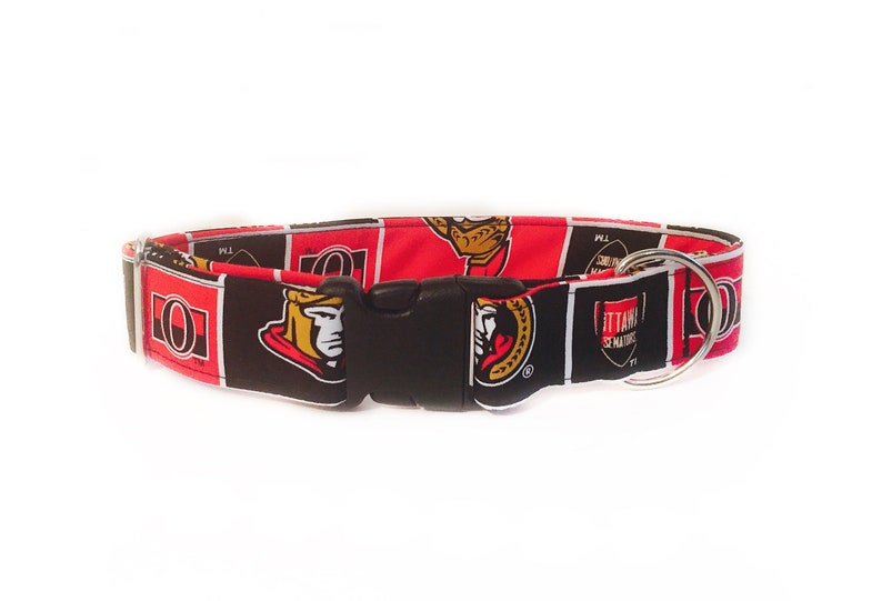 dog collars ottawa