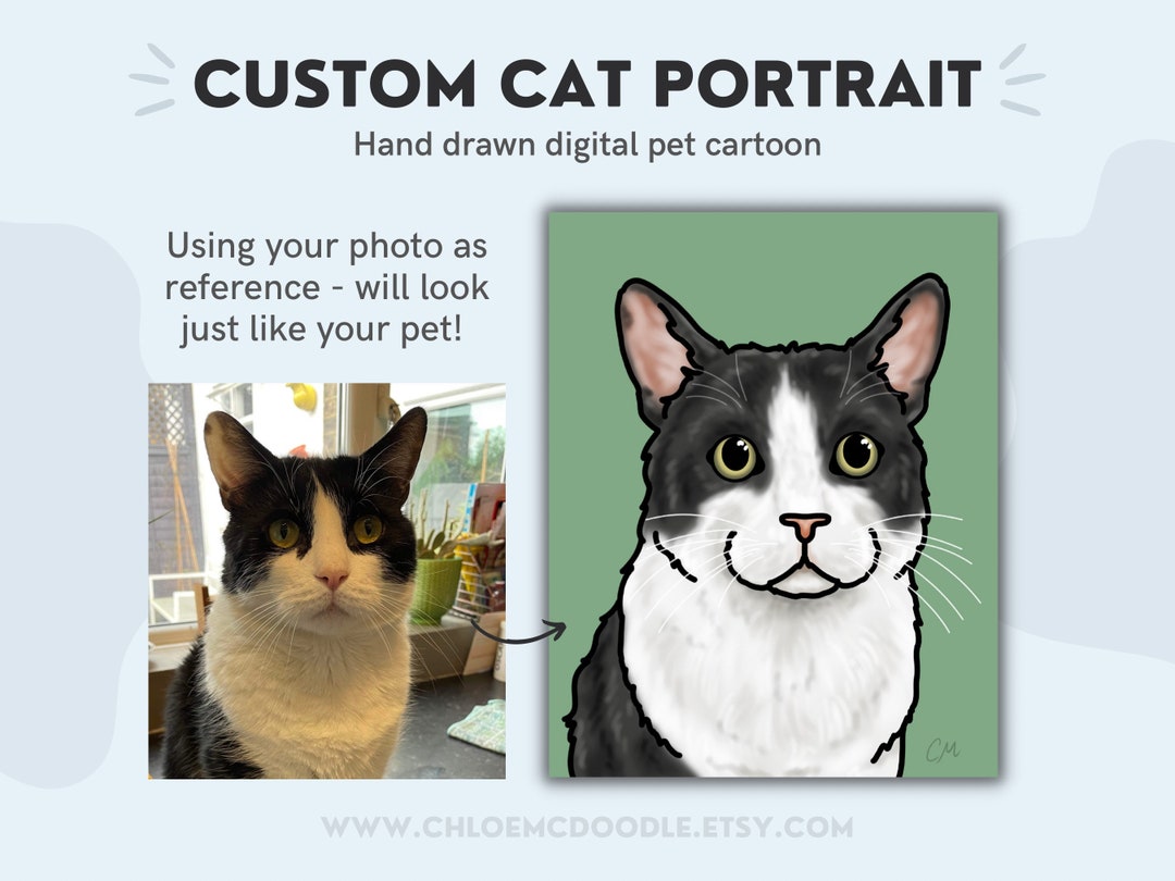 Custom Cat Cartoon Hand Drawn Digital Cat Artwork Etsy