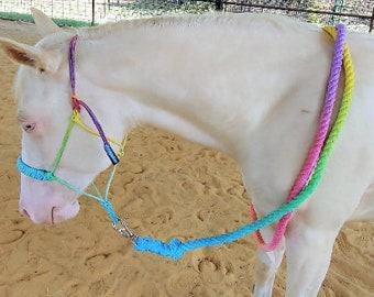 Horse Lead Ropes- Rainbow Ombre Cotton 10 Foot Lead for Large Animal, Great Gift