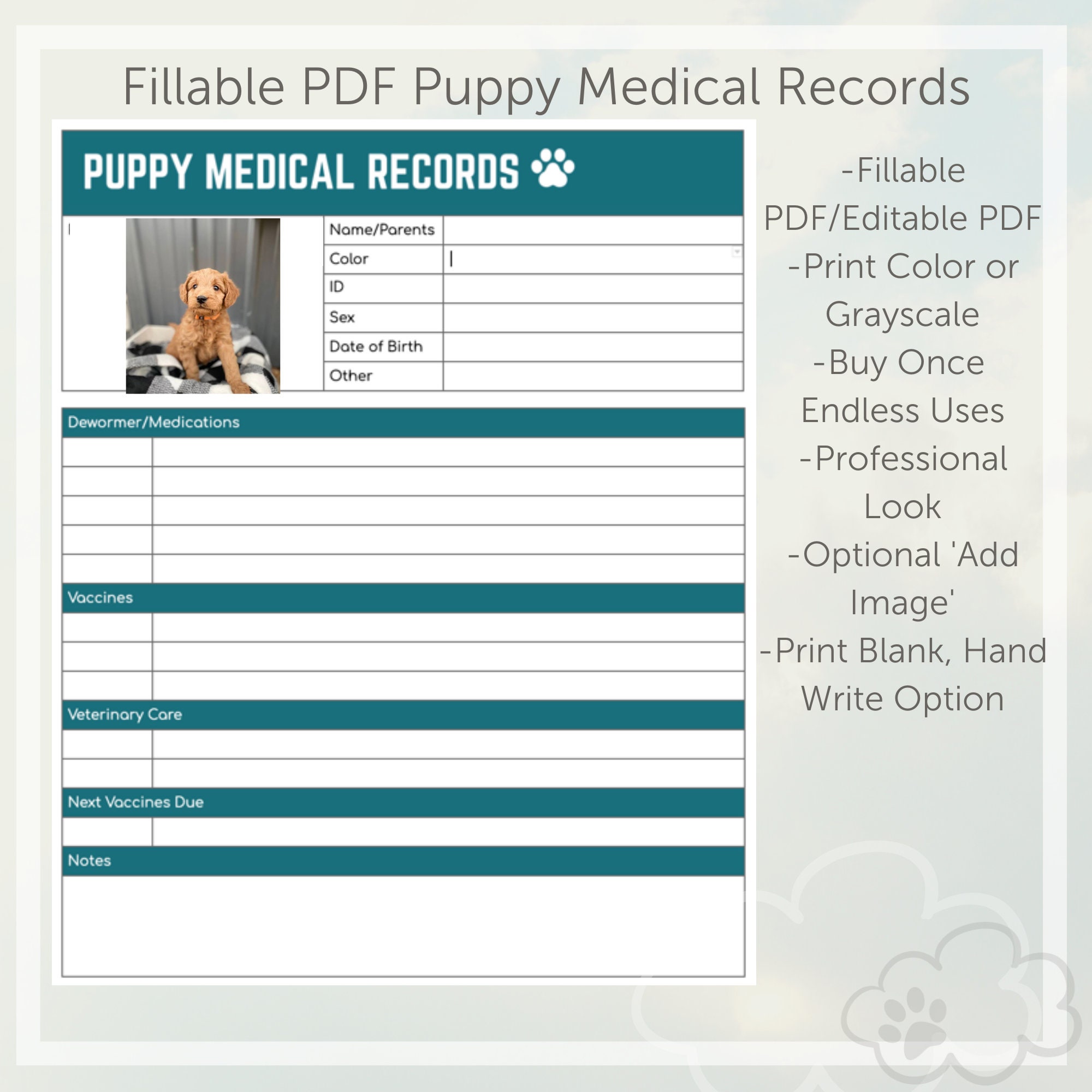 How To Get Dog Medical Records