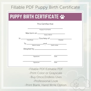 Geboorteakte puppy - Pruim