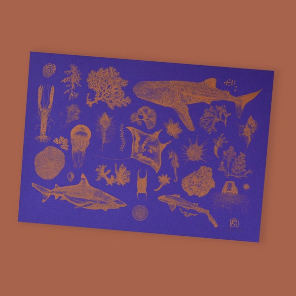 Gold ocean, Poster risographie, édition limitée, thème : ocean, requin, corail, mer (sérigraphie, tirage d'art)