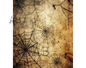 Spider Cob Web  | AB Studios #1265 | A4 |  Crafts, scrapbooking, art journals, mixed media