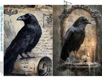 Black Crows  | AB Studios #1326 | A4 |  Crafts, scrapbooking, art journals, mixed media