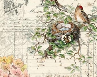 Bird Ephemera | Roycycled Treasures Decoupage Paper   | 21 x 29" - for furniture, Crafts, scrapbooking, art journals, mixed media, DIY