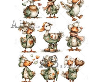 Comical Goose Duck 9 pics | AB Studios Rice paper #7574| A4 - DIY, Crafts, scrapbooking, art journals, mixed media