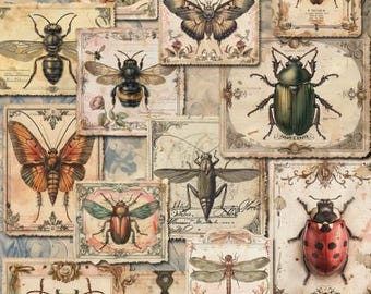 Insects |Iveta Ziendina | Decoupage Queen A4 paper | DIY crafts