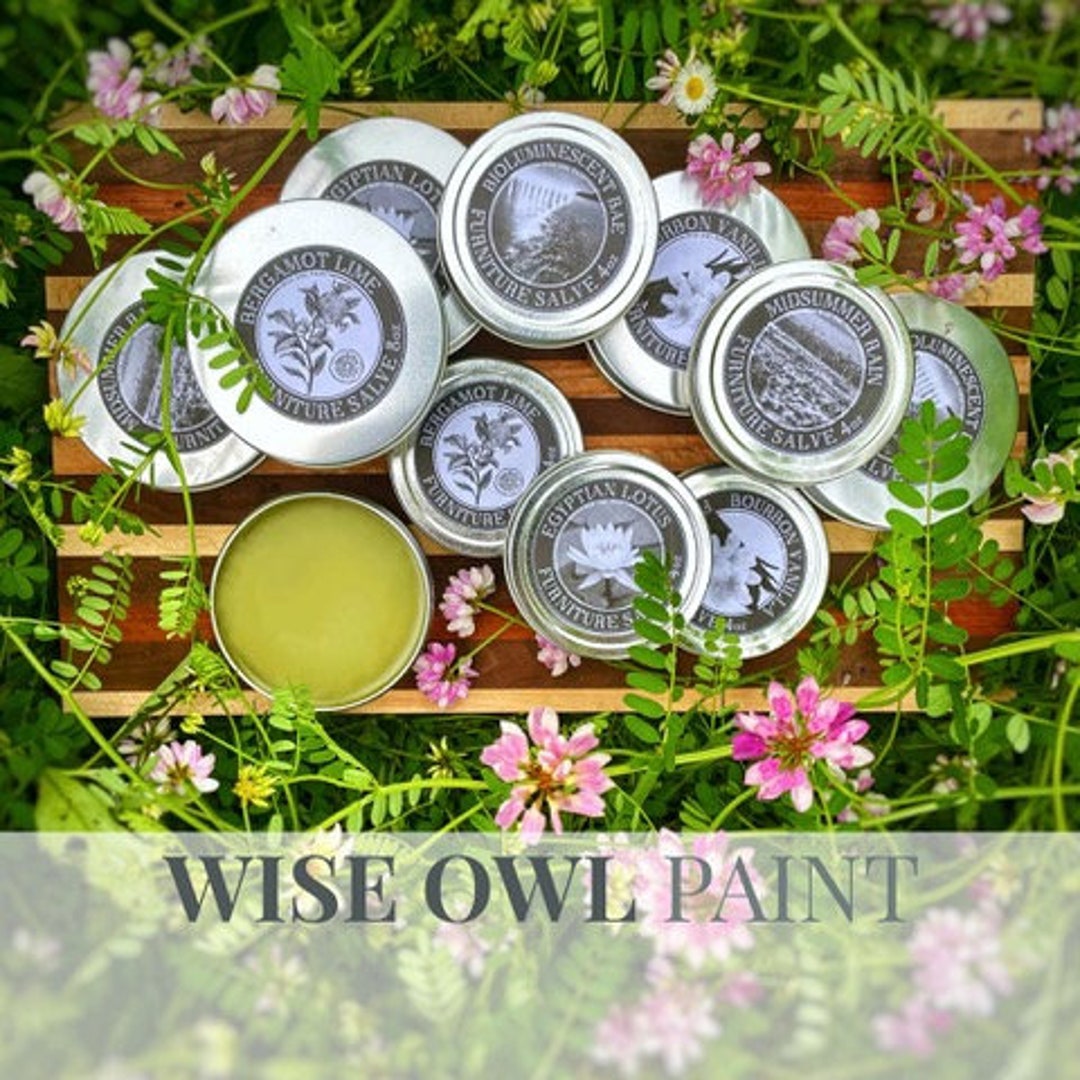 Furniture Wood Salve Wise Owl FAST SHIPPING Paint Sealer Wood