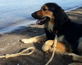 robuste, maritime Hundeleine aus Jute Seil / nautische Knoten / Longe / Tau mit Bolzenhaken