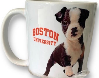 Boston University Tshirt