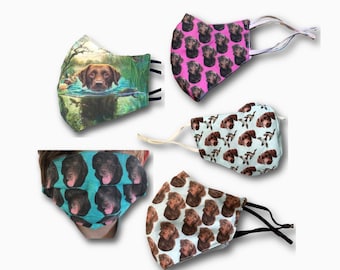 Various Chocolate Lab Face Masks