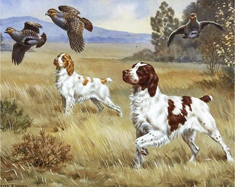 Accessory bag Brittany Spaniel