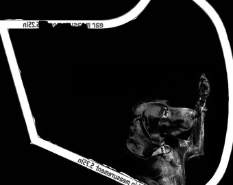 GSP German Short Hair Pointer High Five Mask