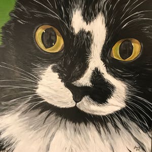 Custom Painted Pet Portraits-Acrylic on canvas image 4