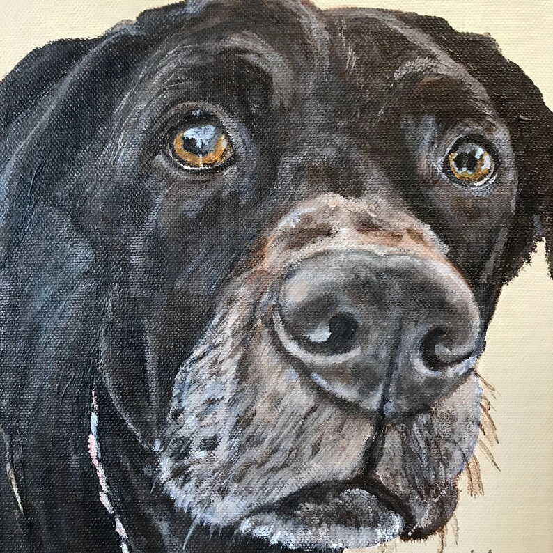 Custom Painted Pet Portraits-Acrylic on canvas image 10