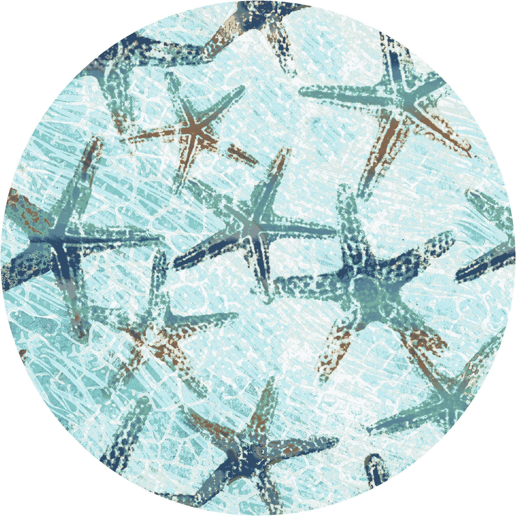 Starfish Rug Starfish Area Rug Star Fish Rug Star Fish Area Etsy