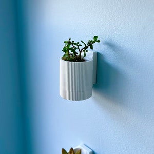 May include: A white ceramic planter with a ribbed texture, mounted on a wall, with a small green plant growing inside.